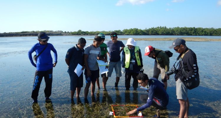 Monitoring Ekosistem Padang Lamun Di Pulau Rote